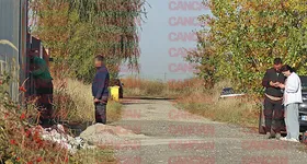 Galerie foto - poza 3