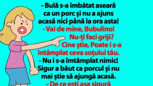BANC | "Bulă s-a îmbătat aseară ca un porc și nu a ajuns acasă nici până la ora asta!"