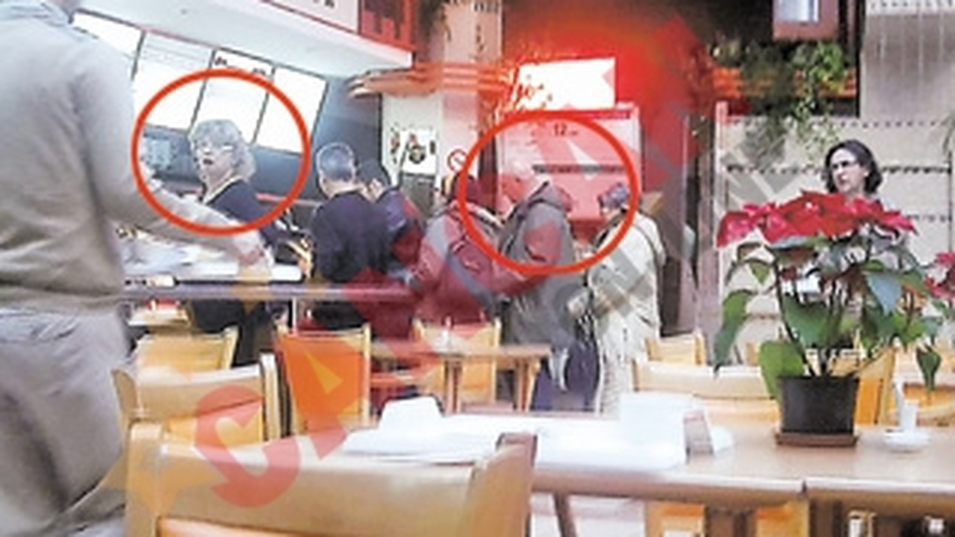 Bebe Cotimanis gusta un gulas "la-mpinge tava"