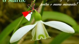 Imagini 8 martie 2018. Trimite-i mamei tale cea mai frumoasă felicitare de ziua femeii
