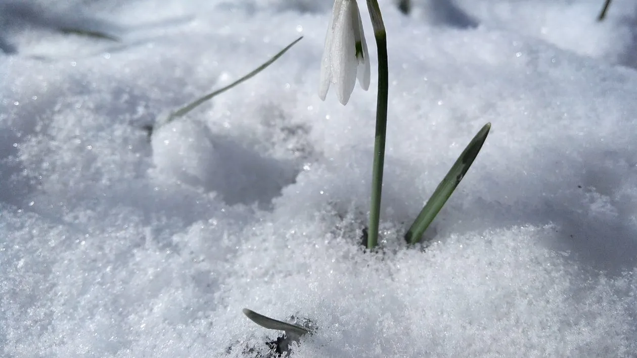 Val de aer polar peste România! Temperaturi extrem de scăzute în primele zile de primăvară