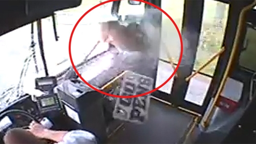 Imagini nerecomandate iubitorilor de animale! Cum a ajuns o caprioara lovita de autobuz sa faca sarituri incredibile pe scaune