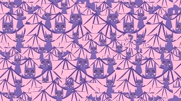 Test de inteligență exclusiv pentru genii | Identificați peștele din această iluzie optică