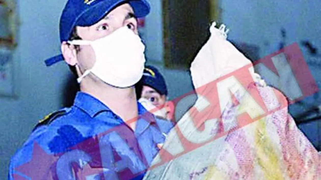 William a capturat cocaina de 50,5 milioane de euro