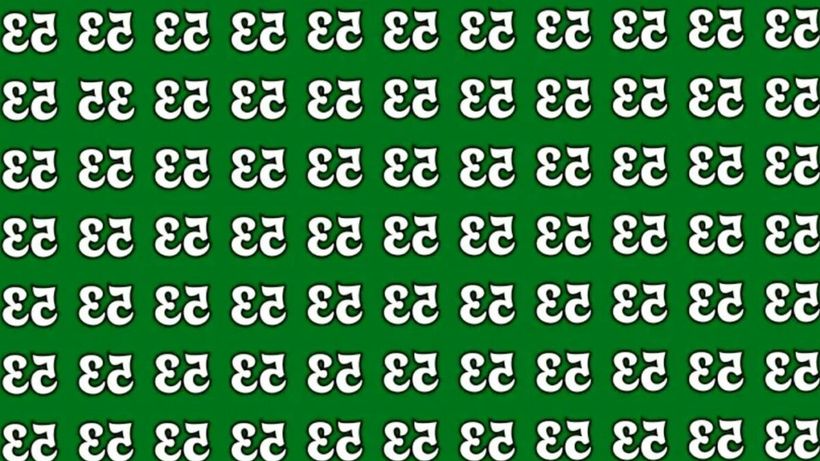 Test de inteligență | Ai IQ-ul lui Einstein dacă găsești numărul inversat ’33’ în doar 10 secunde