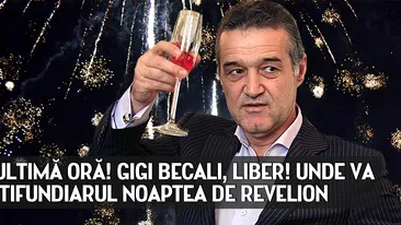 DECIZIE DE ULTIMĂ ORĂ! GIGI BECALI, LIBER! Unde va petrece latifundiarul noaptea de Revelion