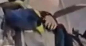 Galerie foto - poza 4