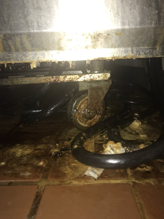 Imaginile dezgustătoare dintr-un restaurant McDonald's