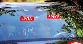 Galerie foto - poza 3