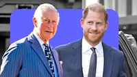 Prințul Harry s-a întâlnit cu Regele Charles pentru prima dată în aproape doi ani. Ce a transmis Palatul Buckingham