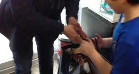 Galerie foto - poza 3