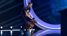 Galerie foto - poza 4