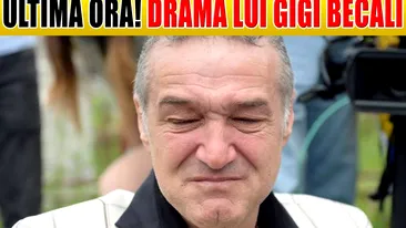 Lovitură TERIBILĂ pentru Gigi Becali