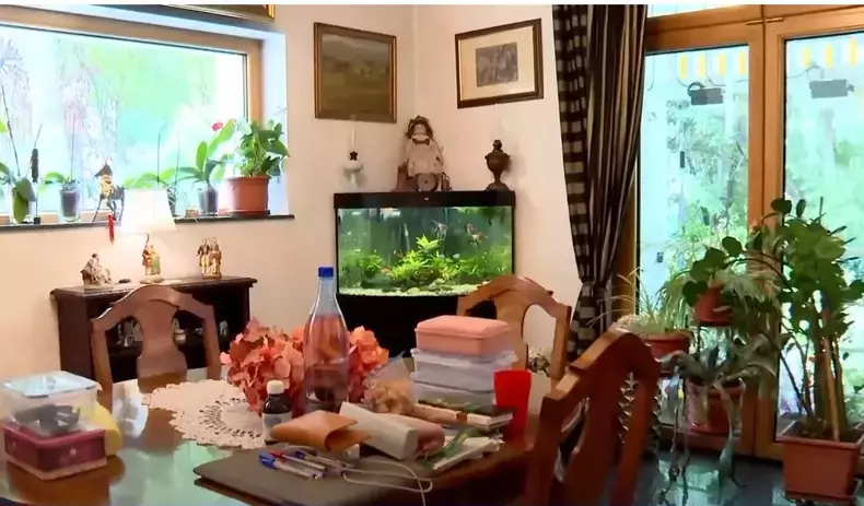 Cum arată casa de 2,5 milioane de euro a Monicăi Tatoiu. Vila are 2 etaje, 9 dormitoare și un sistem de pază complex