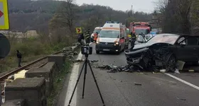 Galerie foto - poza 2