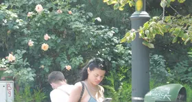 Galerie foto - poza 3