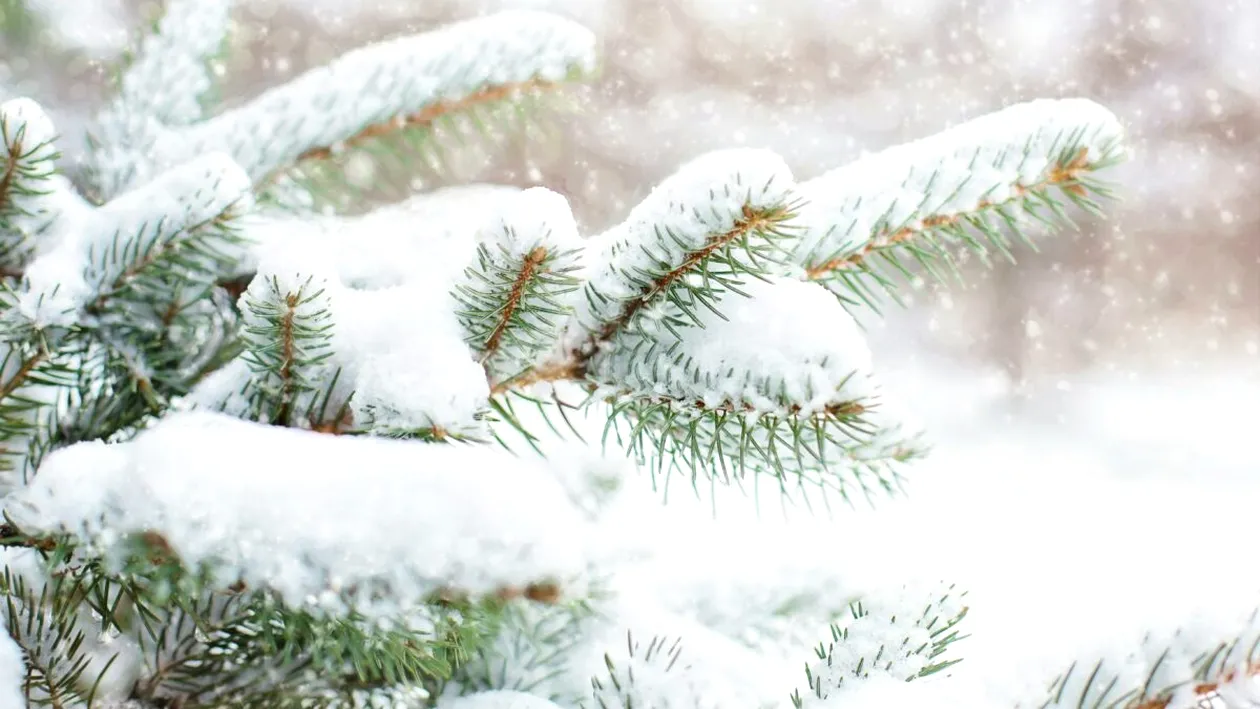 Prognoza meteo azi, 12 ianuarie 2026. Ninge în toată țara: România, sub semnul iernii adevărate și al gerului persistent