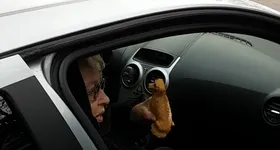 Galerie foto - poza 1