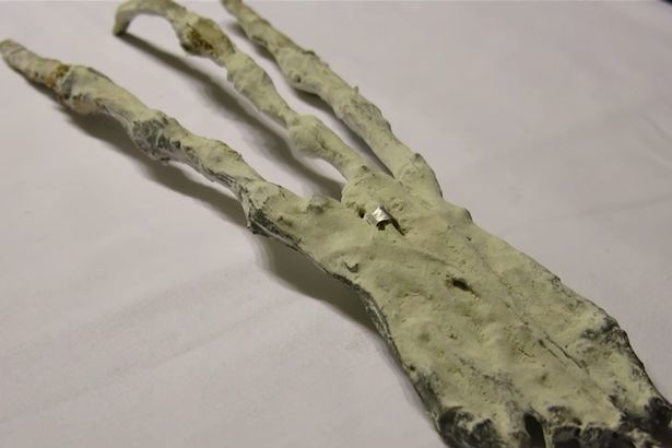 Au găsit mai multe cadavre ciudate şi au cerut părerea experţilor. S-au făcut câteva teste, iar rezultatele au fost şocante. Ce descoperiseră de fapt
