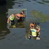 O femeie de 60 de ani, salvată din râul Dâmbovița. Doi polițiști rutieri au intervenit rapid, înainte ca situația să se transforme în tragedie