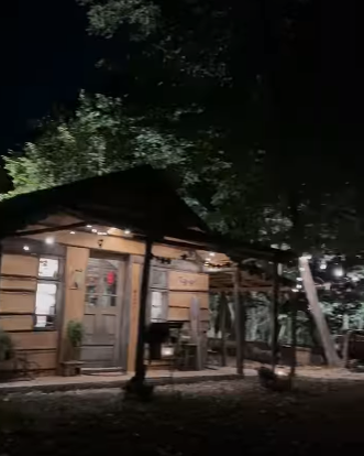 Cum arată casa în care locuiește Mihaela Bilic, din inima pădurii: “Nu am curent electric, nici apă”