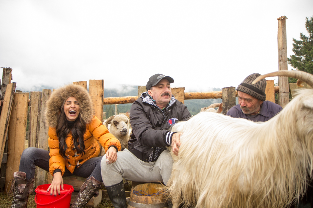 LAVINIA PÂRVA, aşa cum nu ai văzut-o niciodată! Imagini incredibile cu vedeta în timp ce încerca să mulgă oile