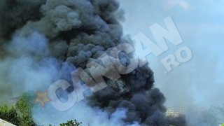 A incercat sa stinga un incendiu de vegetatie, dar a ajuns in stare grava la spital
