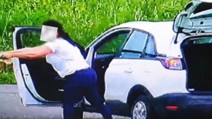 Ce a pățit femeia din Timiș care și-a aruncat pisica din mașină!