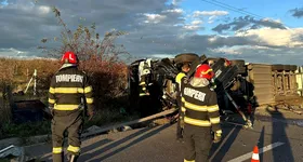 Galerie foto - poza 3