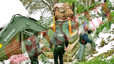 Fura excavatoare din strainatate