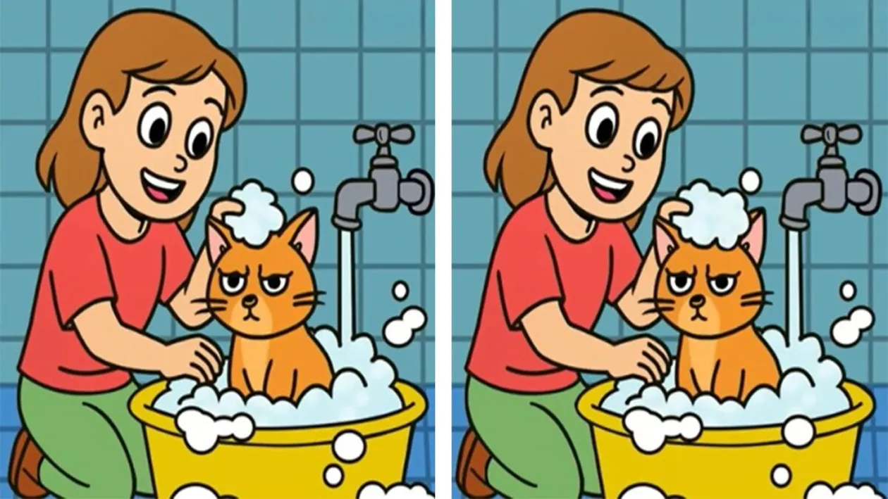 TEST IQ | Aceste două imagini par identice, dar nu sunt. Găsiți 3 diferențe în 33 de secunde!