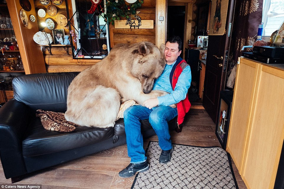 Un cuplu din Rusia locuieşte c-un urs! FOTO incredibile cu STEPAN, ursul care stă cu ei până şi la masă