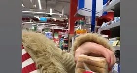 Galerie foto - poza 3