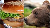 Nu e o glumă! Cât costă un burger de urs, de 450 de grame, în Brașov