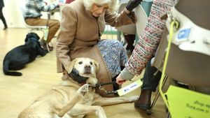 Regina Camilla, super gest după moartea câinelui său. Cum a decis să își aline suferința