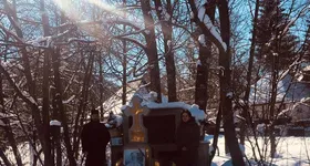 Galerie foto - poza 3