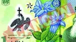 Credite in euro, economii in lei