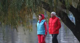 Galerie foto - poza 2