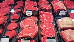 UE interzice importul de carne din Brazilia. Ce nereguli au fost descoperite de Comisia Europeană