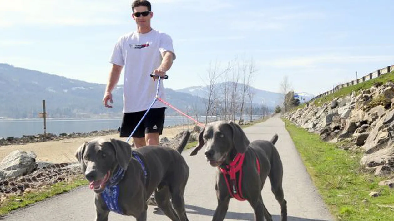 Americanii pasionaţi de câini pot acum să-i împrumute printr-o aplicaţie!  