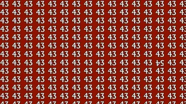 Test IQ | Găsiți numărul 54 ascuns printre 43. Geniile îl descoperă în doar 20 de secunde