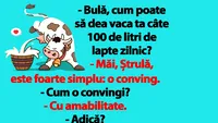 BANC | Bulă, cum poate să dea vaca ta câte 100 de litri de lapte zilnic?