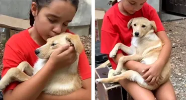 Te topești! Ce i-a făcut Eva lui Cătălin Măruță, după ce a găsit un cățel: „Te rog”