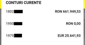 Galerie foto - poza 2