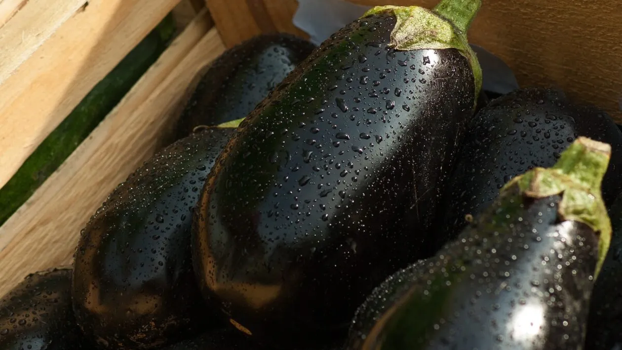 Toate gospodinele trebuie să știe asta! Motivul pentru care vinetele nu trebuie păstrate în frigider