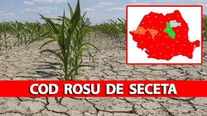 Cod roșu de secetă în România! ANM anunță caniculă severă și fenomene extreme