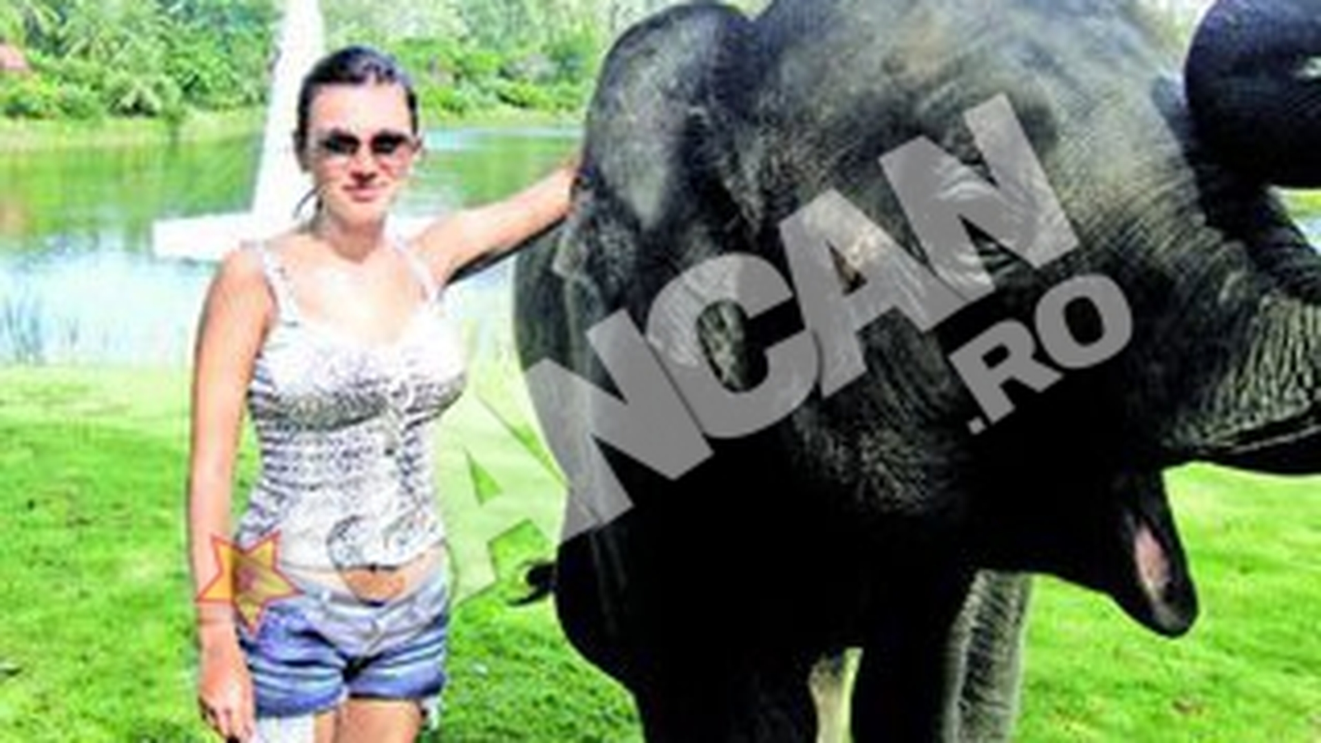 Un elefant i-a "urat" prosperitate si belsug