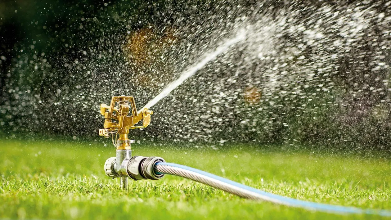 Care este ora perfectă pentru a uda grădina. Așa nu ți se strică plantele