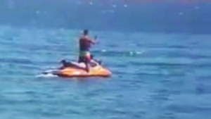 Apariție spectaculoasă la Eforie Nord. Turiștii au scos imediat telefoanele pentru a nu rata momentele | VIDEO