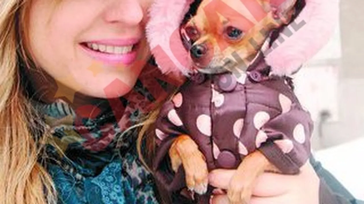 A salvat un catel de la inec